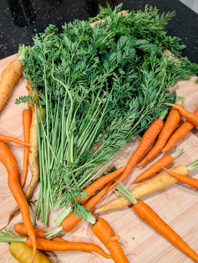 Whole fresh carrots with bright green carrot tops laid out on a wooden cutting board